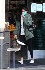 SARA SAMPAIO Wearing Mask Out Shopping at Erewhon Organic in Los Angeles 04/08/2020