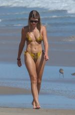 SOFIA RICHIE in Bikini at a Beach in Malibu 04/23/2020