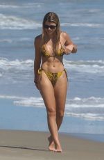 SOFIA RICHIE in Bikini at a Beach in Malibu 04/23/2020