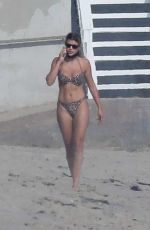 SOFIA RICHIE in Bikini on the Beach in Malibu 04/24/2020