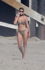 SOFIA RICHIE in Bikini on the Beach in Malibu 04/24/2020