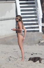 SOFIA RICHIE in Bikini on the Beach in Malibu 04/24/2020