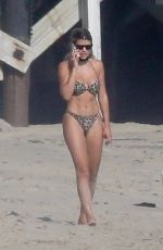 SOFIA RICHIE in Bikini on the Beach in Malibu 04/24/2020
