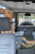 SOPHIA BUSH with Her Dog - Instagram Photos 04/07/2020