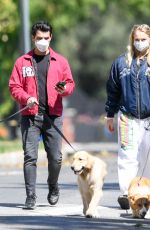 SOPHIE TURNER and Joe Jonas Wearing Masks Out with Their Dogs in Los Angeles 04/17/2020