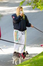 SOPHIE TURNER and Joe Jonas Wearing Masks Out with Their Dogs in Los Angeles 04/17/2020