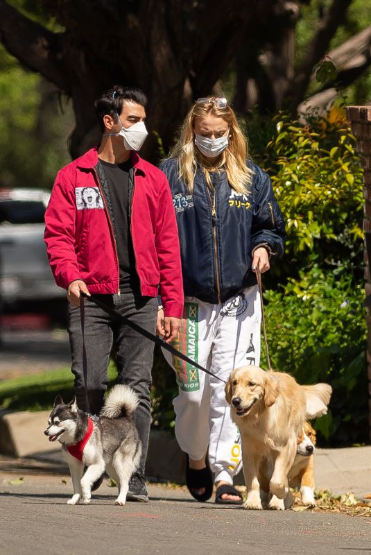 SOPHIE TURNER and Joe Jonas Wearing Masks Out with Their Dogs in Los Angeles 04/17/2020