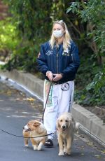 SOPHIE TURNER and Joe Jonas Wearing Masks Out with Their Dogs in Los Angeles 04/17/2020