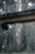 TAYA BROOKS - Storybook Visuals, 2020