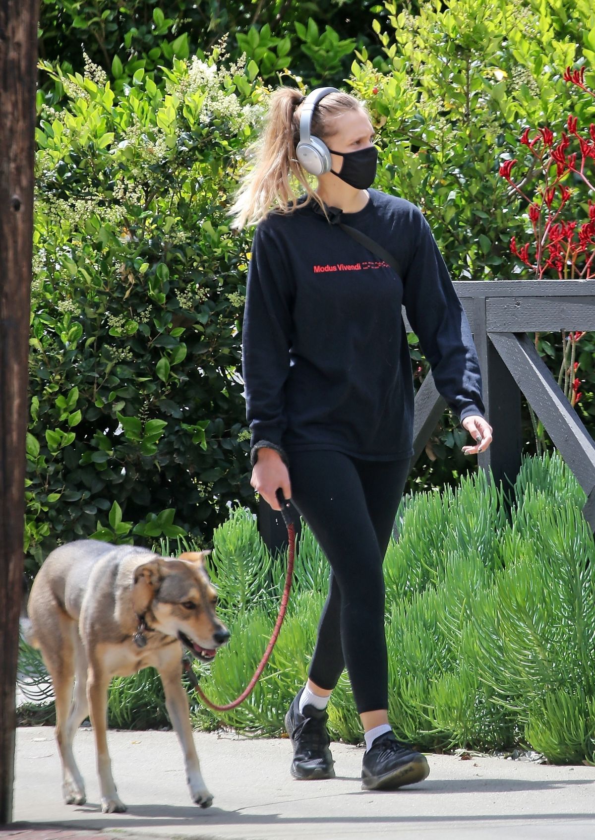 TERESA PALMER Wearing Mask Out with Her Dog in Los Angeles 04/17/2020 ...