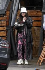 VANESSA HUDGENS Out Shopping in Los Angeles 04/06/2020