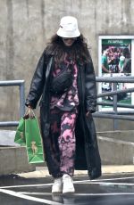 VANESSA HUDGENS Out Shopping in Los Angeles 04/06/2020