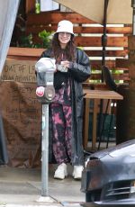 VANESSA HUDGENS Out Shopping in Los Angeles 04/06/2020