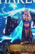 Wrestlemania 36 04/05/2020