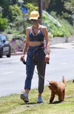 ALESSANDRA AMBROSIO Out with Her Dog in Santa Monica 05/24/2020