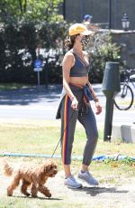 ALESSANDRA AMBROSIO Out with Her Dog in Santa Monica 05/24/2020