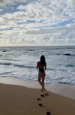 ALEXIS REN in Swimsuit at a Beach - Instagram Photos 05/23/2020