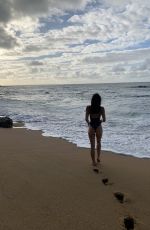 ALEXIS REN in Swimsuit at a Beach - Instagram Photos 05/23/2020