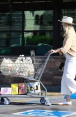 <ALIN AKERMAN Shopping at Gelson