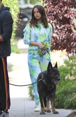ANA DE ARMAS and Ben Affleck Out with Their Dogs in Venice Beach 05/27/2020