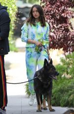 ANA DE ARMAS and Ben Affleck Out with Their Dogs in Venice Beach 05/27/2020