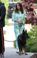 ANA DE ARMAS and Ben Affleck Out with Their Dogs in Venice Beach 05/27/2020
