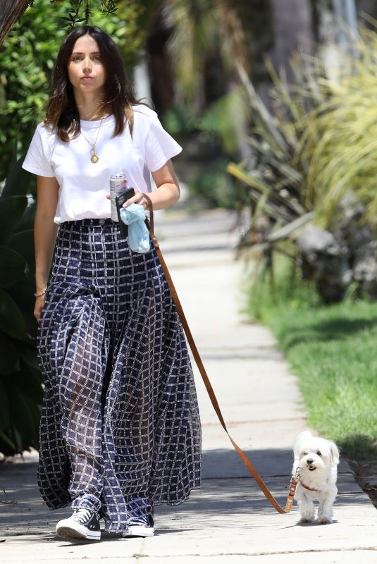 ANA DE ARMAS Out in Venice Beach 05/08/2020