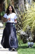 ANA DE ARMAS Out in Venice Beach 05/08/2020