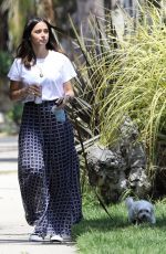 ANA DE ARMAS Out in Venice Beach 05/08/2020