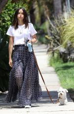 ANA DE ARMAS Out in Venice Beach 05/08/2020