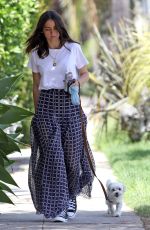 ANA DE ARMAS Out in Venice Beach 05/08/2020