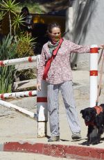 ANDIE MACDOWELL Out with Her Dog in Los Angeles 05/15/2020