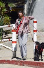ANDIE MACDOWELL Out with Her Dog in Los Angeles 05/15/2020