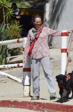 ANDIE MACDOWELL Out with Her Dog in Los Angeles 05/15/2020