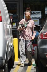 ANDIE MACDOWELL Out with Her Dog in Los Angeles 05/15/2020