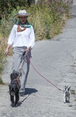ANDIE MACDOWELL Out with Her Dog in Los Angeles 05/21/2020