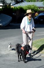 ANDIE MACDOWELL Out with Her Dogs in Los Angeles 05/07/2020