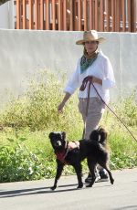 ANDIE MACDOWELL Out with Her Dogs in Los Angeles 05/07/2020