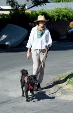 ANDIE MACDOWELL Out with Her Dogs in Los Angeles 05/07/2020