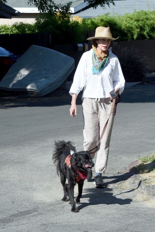 ANDIE MACDOWELL Out with Her Dogs in Los Angeles 05/07/2020