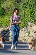 AUBREY PLAZA and Jeff Baena Out with Their Dogs in Los Feliz 05/05/2020