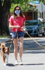 AUBREY PLAZA in Shorts Out with Her Dogs in Los Angeles 05/02/2020