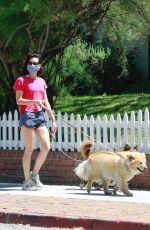 AUBREY PLAZA in Shorts Out with Her Dogs in Los Angeles 05/02/2020