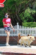 AUBREY PLAZA in Shorts Out with Her Dogs in Los Angeles 05/02/2020