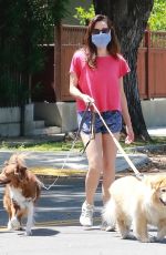 AUBREY PLAZA in Shorts Out with Her Dogs in Los Angeles 05/02/2020