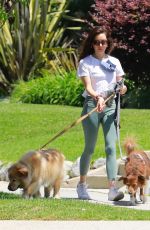 AUBREY PLAZA Out with Her Dogs in Los Feliz 05/03/2020