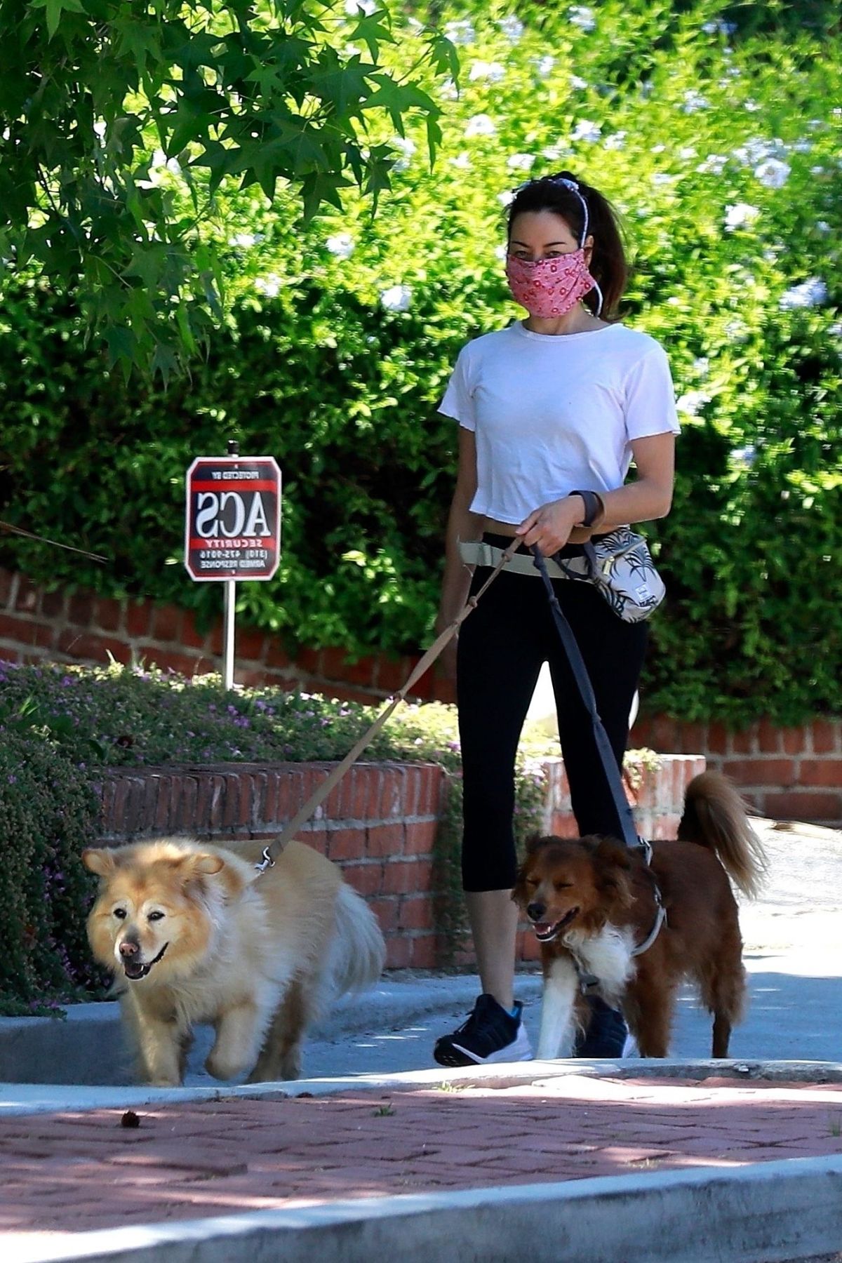 Aubrey Plaza Picks Up Her Dog From the Groomers in Los Feliz: Photo 4877542, Aubrey Plaza Photos