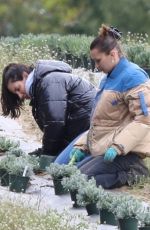 BELLA HADID Planting Herbs at a Local Family Estate in New Hope 04/30/2020