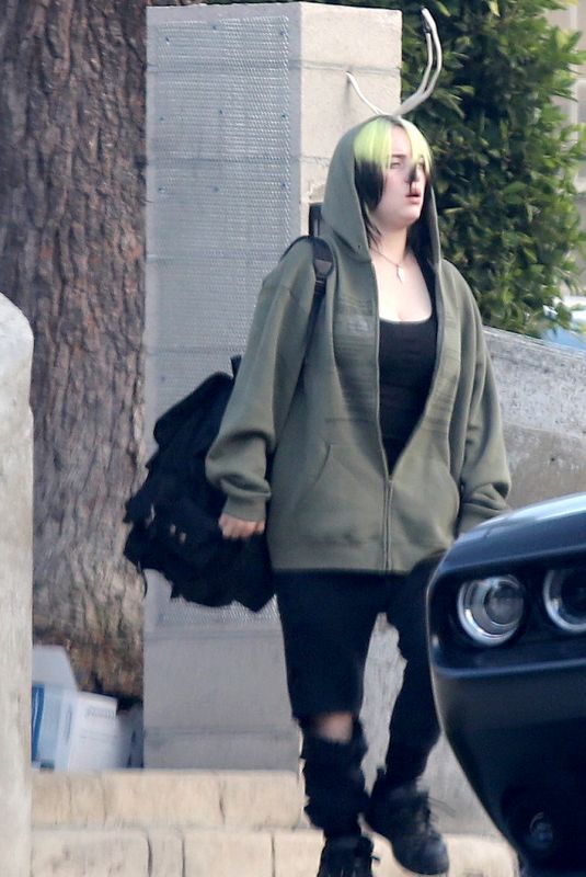 BILLIE EILIS and Finneas Out in Los Angeles 05/19/2020
