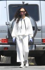 CARA SANTANA Out and About in Los Angeles 04/30/2020